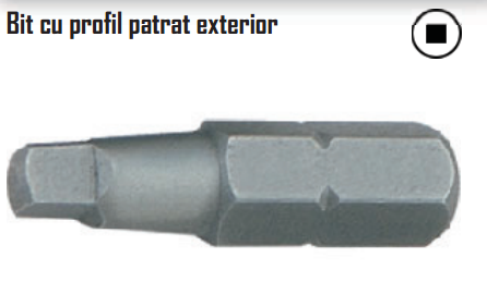 Bit cu profil patrat exterior